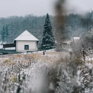 Téli-tavaszi reggelis csomag