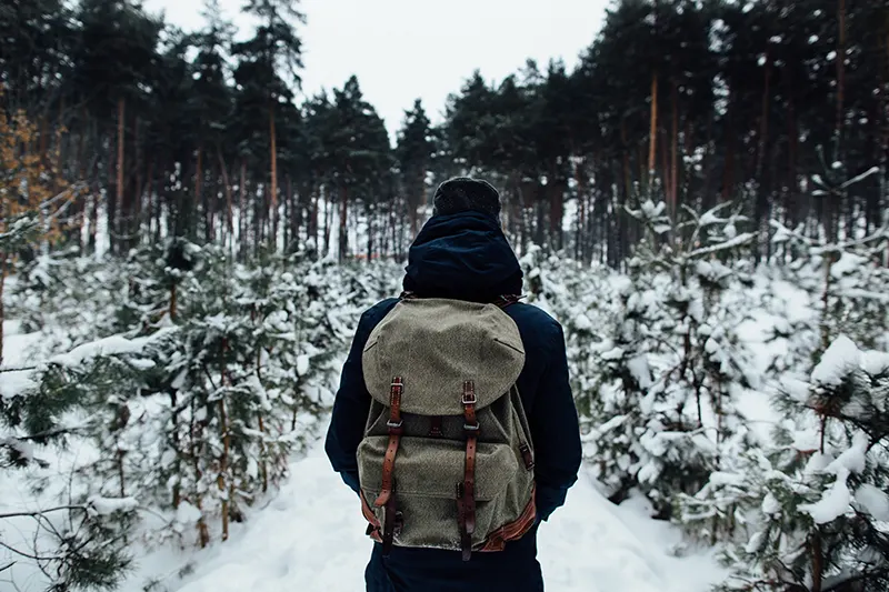 traveler-with-travel-rucksack-enjoying-snowy-landscape-winter-pine-forest